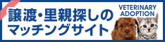 譲渡・里親探しのマッチングサイト