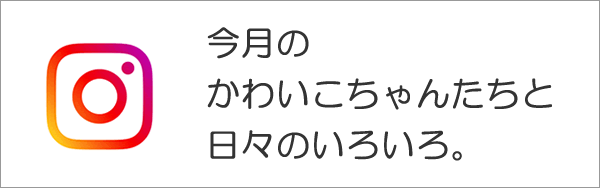 今月のかわいこちゃんたちと日々のいろいろ。(インスタグラム) 