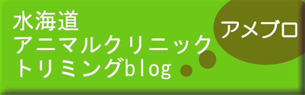 水海道アニマルクリニック　トリミングblog(Amebaブログ)